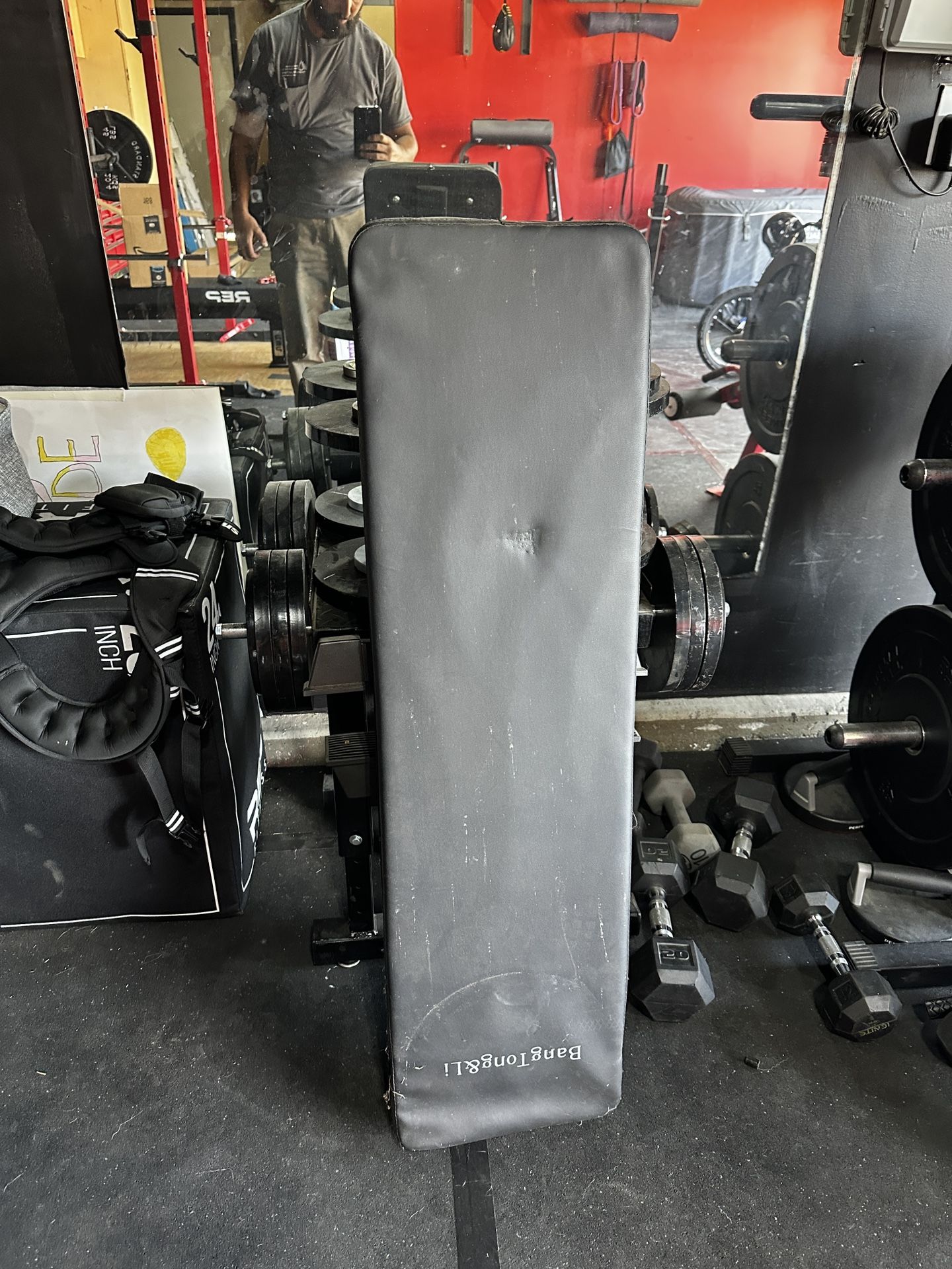 Bench Press Bench