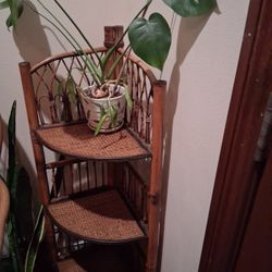 Wicker Shelf