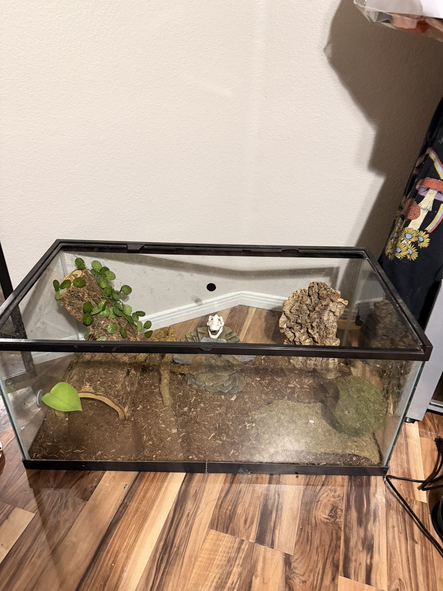 Reptile Tank