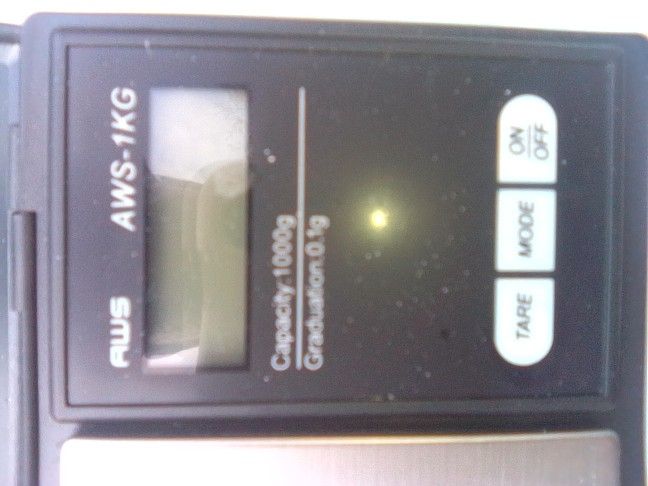 Digital Scale