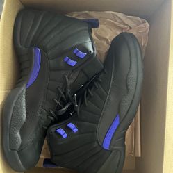 Air Jordan Concord 12s 