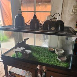 Terrarium Tank w/ Accessories