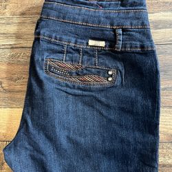 Elegant Indigo Women's Jeggings