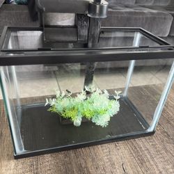2.5 Gallon Fish Tank 