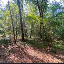 Land Forsale 