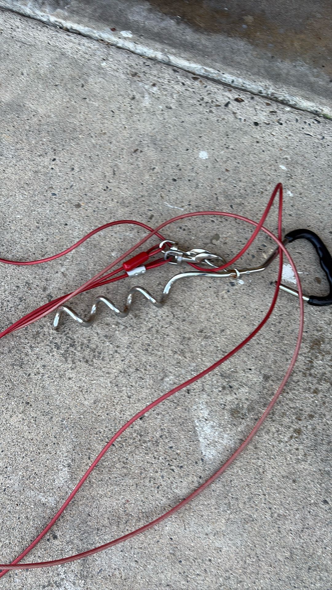 30 Ft Corkscrew Dog Leash