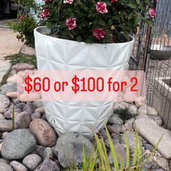 Flower Pot With Red And White Roses