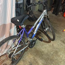 Females Bike Triax Vbx3000