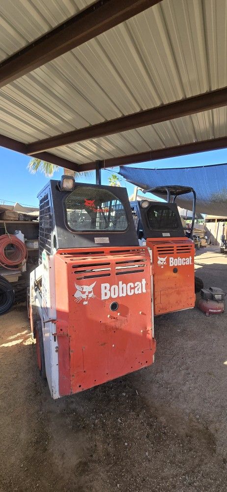 Bobcat