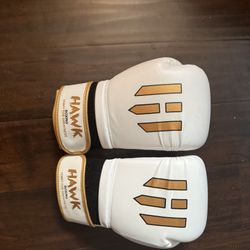 Boxing Gloves 