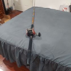 Fishing Rod And Reel 