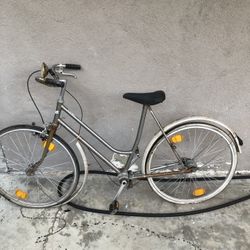 Fendt Chainless Bike (read description)