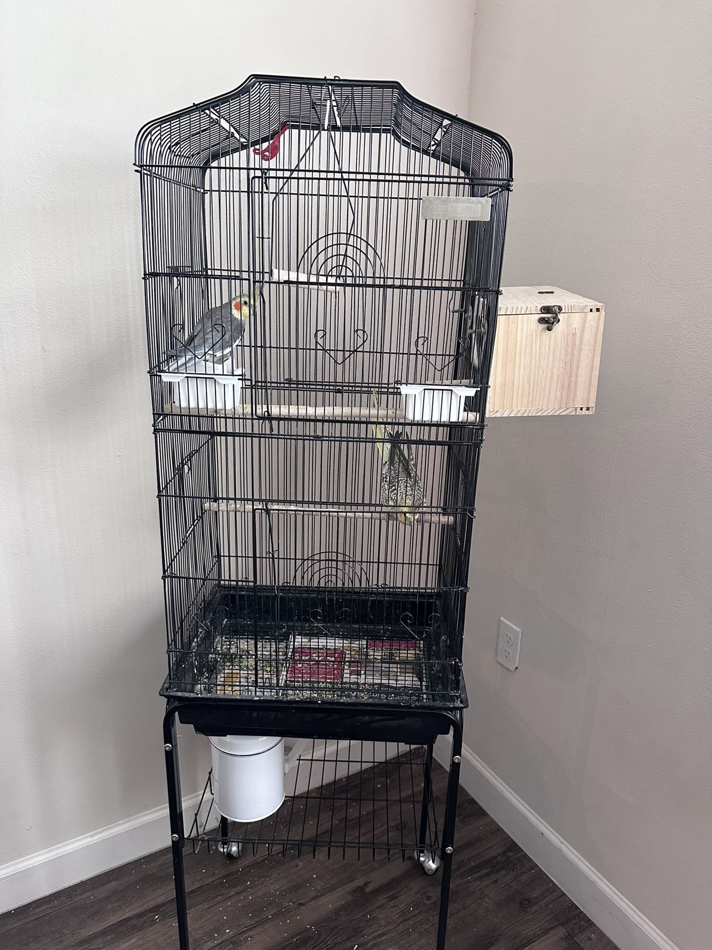 Bird Cage