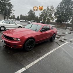 2010 Ford Mustang