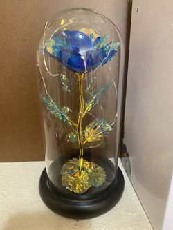 Blue Galaxy Rose