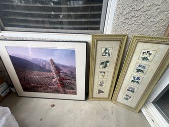 Photo frames