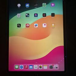iPad Pro 4th generation 12.9 inches 256gb