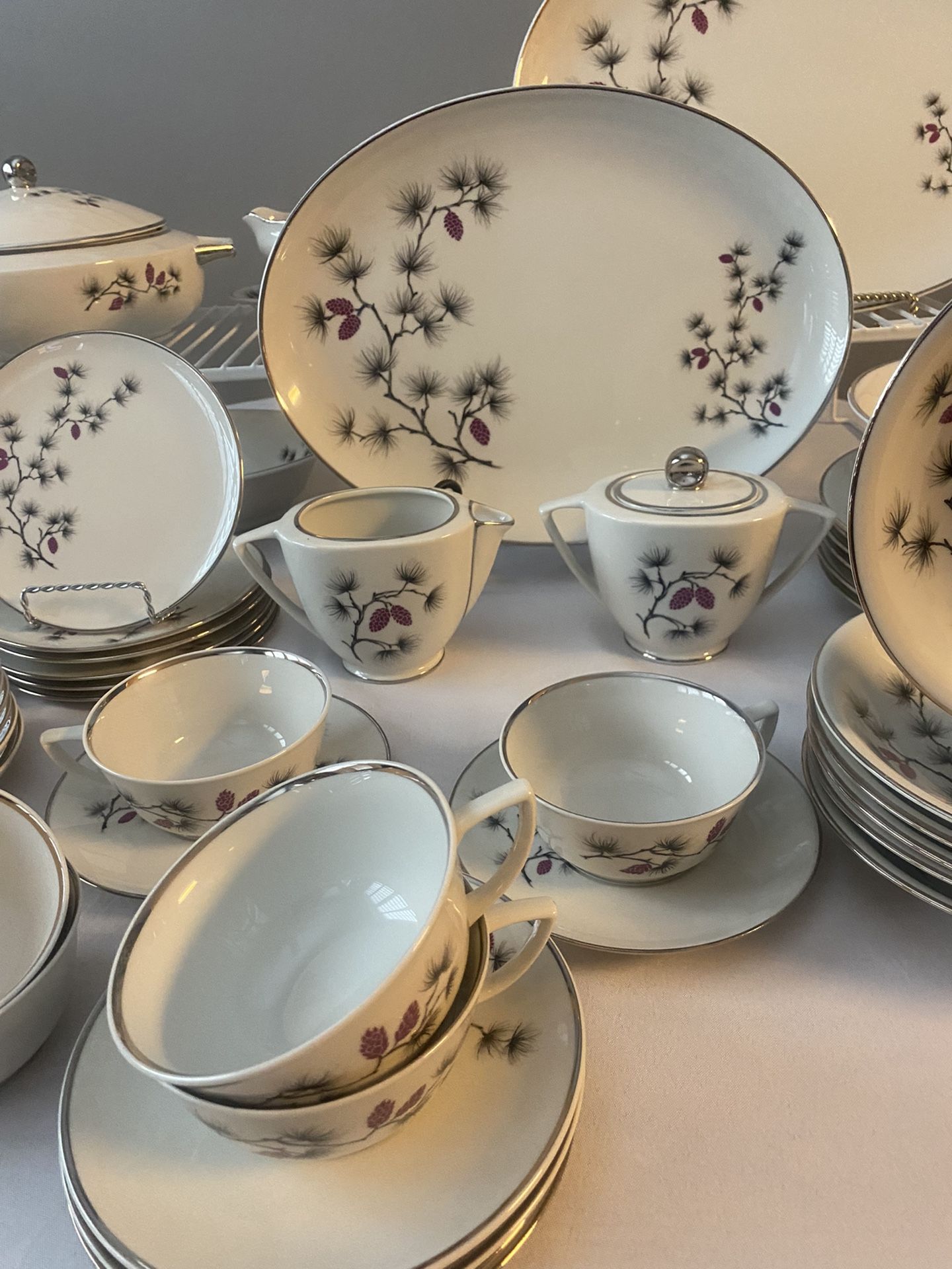Arcadian fine China, ceramic. Southern Pines. Newark, New York. White, Gray Leaves, Purple Acorns. Silver Trim. Mint Condition .