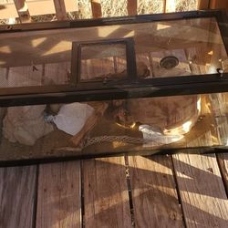 Reptile Enclosure 