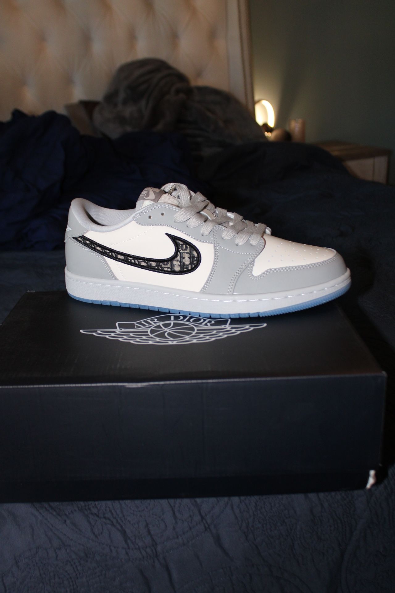 Nike Jordans Dior Low