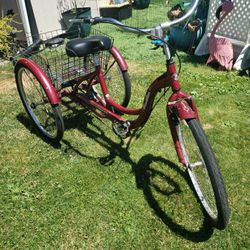 Schwinn Trike