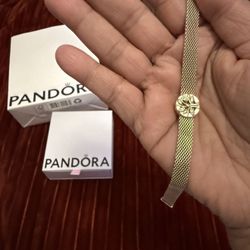 Pretty Pandora Bracelet With Family Charm ( Ask For Price)