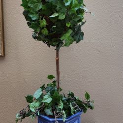 Silk/faux ivy topiary in blue pot