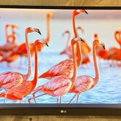LG 34WK650 34" PC Monitor Screen