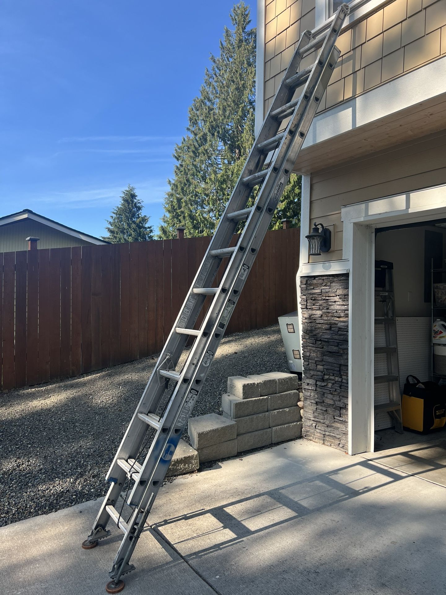 Ladder 24ft