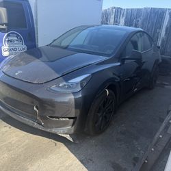 2025 Tesla Model Y