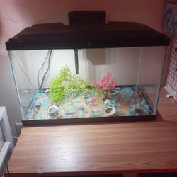 Fish Tank 10 Gallons $40 Dlls. 