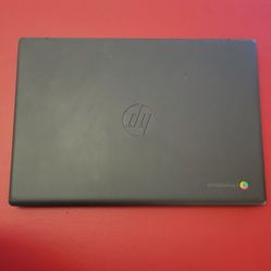 Hp Chromebook  