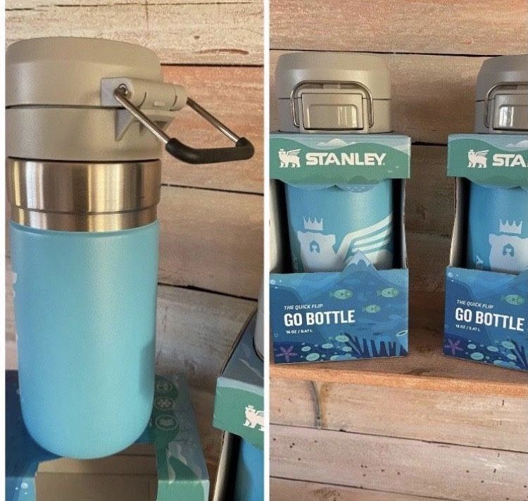 STANLEY GO BOTTLE KIDS WATER BOTTLE BLUE NORTH