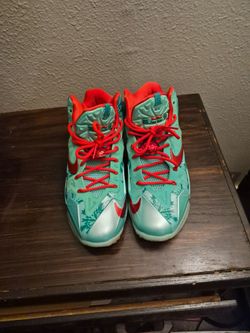 Nike LeBrons size 11