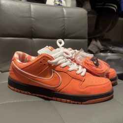 Nike Sb Orange lobsters 