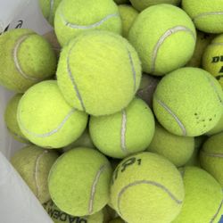 60 Used Tennis Balls / Dog Balls