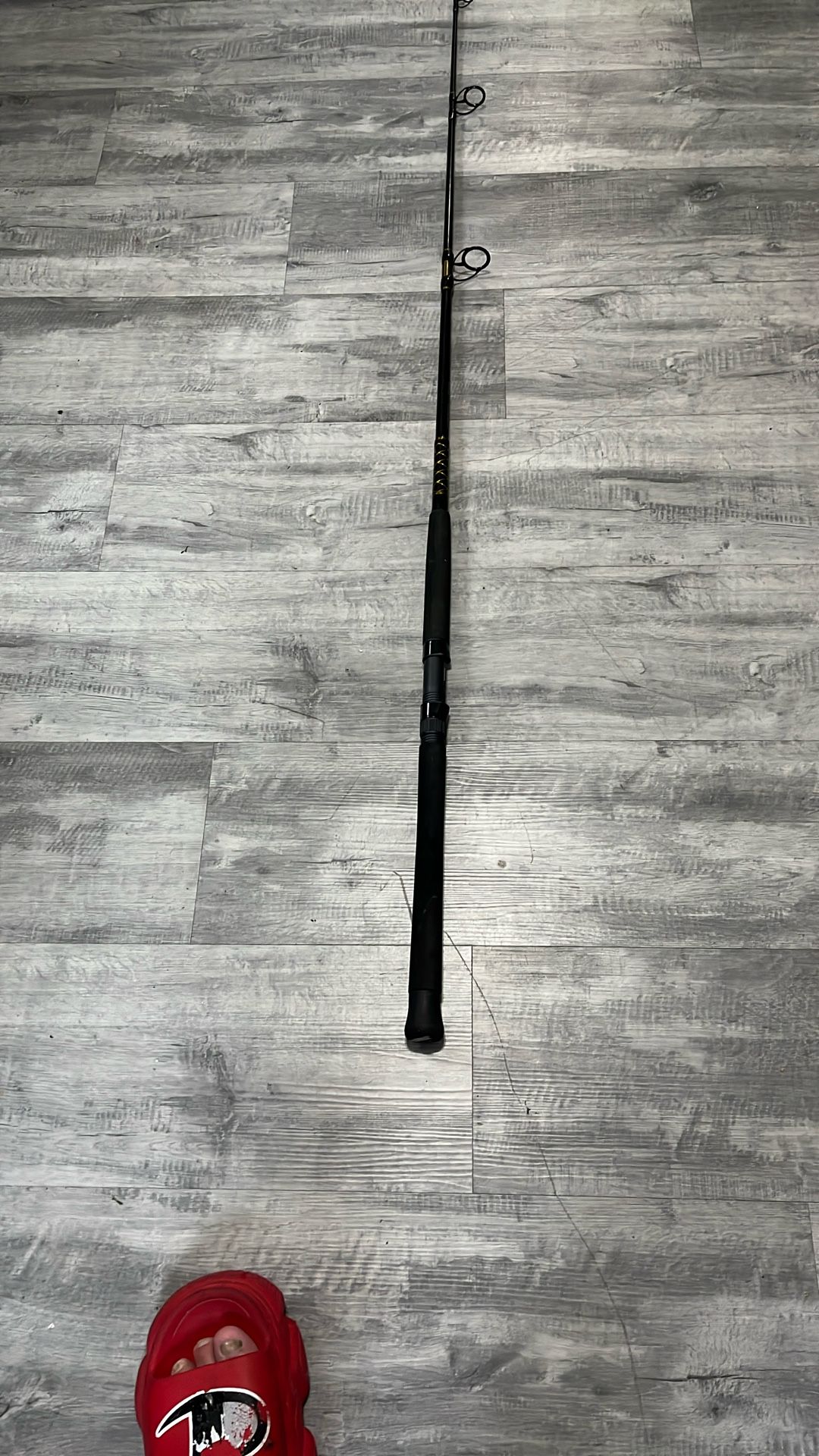 Daiwa BG Spinning Rod