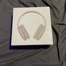 Air POD Max