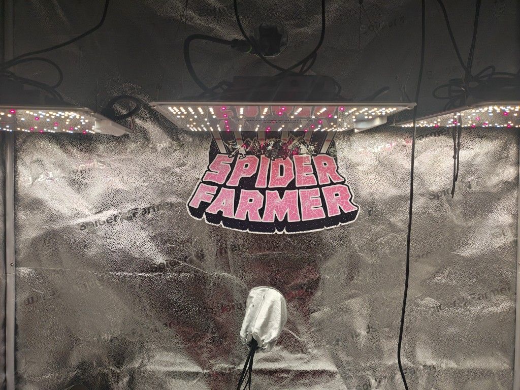 Spider Farmer 4x2 Tent Setup Comes With Everything