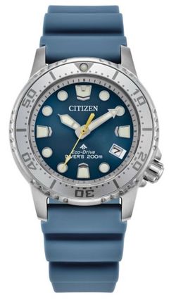 Citizen ProMaster Dive Watch