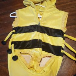Bumblebee Costume