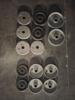 55 LBS weight plates standard