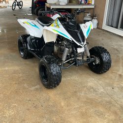 Raptor Yamaha 90 2019