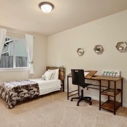 Teenage Bedroom set - Bed And Desk