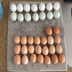 Fresh Eggs
