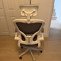 Office/Gaming Chair