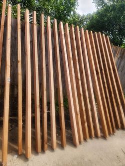 Western Red Cedar