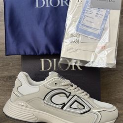 Dior b30 grey