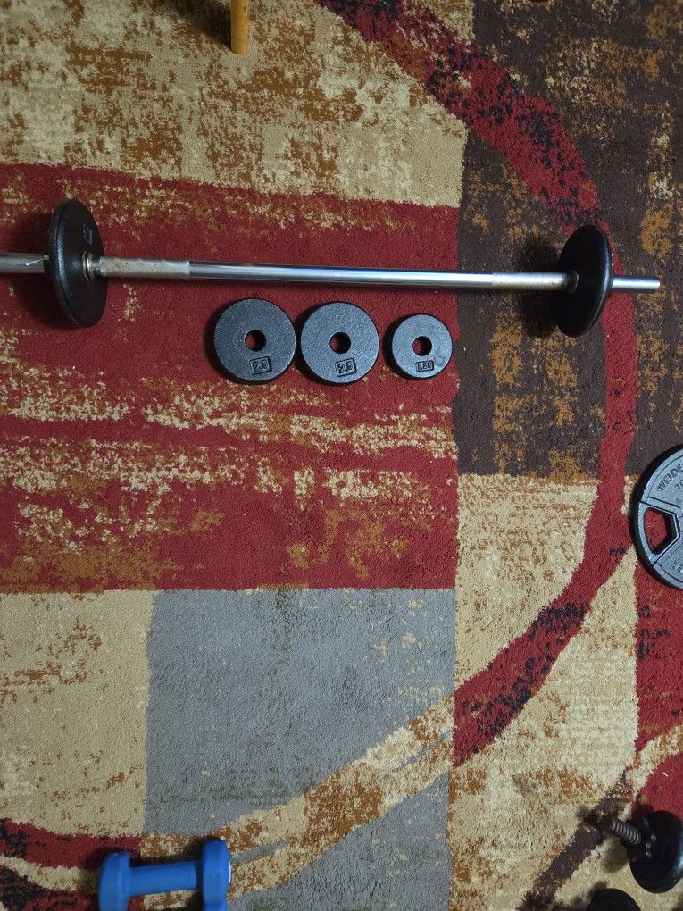 25lb Total Weight With Barbell Bar