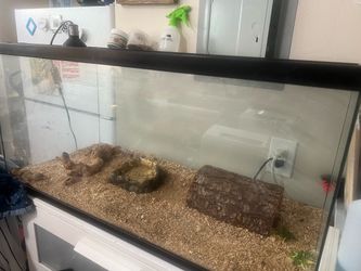 Tank and accessories